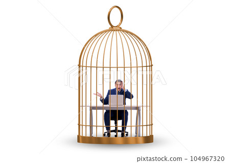 Businessman caught in the cage Businessman caught in the cage 104967320