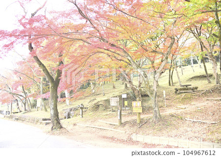 Autumn leaves of Kamagakei Gorge 104967612