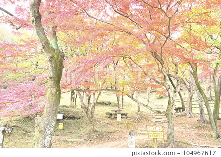 鐮溪峽的秋葉 鐮溪峽的秋葉 104967617