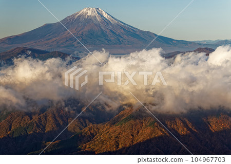 Mt.Fuji and sea of clouds in the morning seen from Hinokido Maru in Tanzawa Mountains Mt.Fuji and sea of clouds in the morning seen from Hinokido Maru in Tanzawa Mountains 104967703