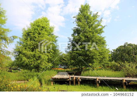 Kusatsu Municipal Aquatic Botanical Park Mizunomori [wet flower garden] / Kusatsu City, Shiga Prefecture 104968152