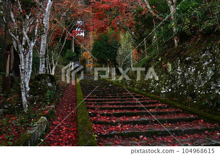 Joshoji temple in autumn 104968615