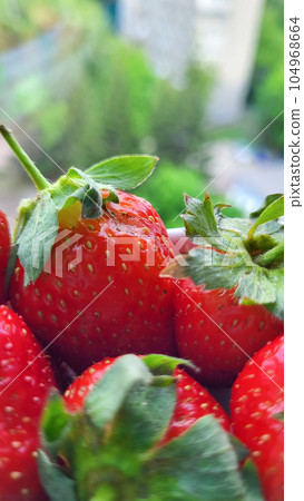 Fresh strawberries close-up. Beautiful strawberries. Fresh ripe delicious strawberries. 104968664