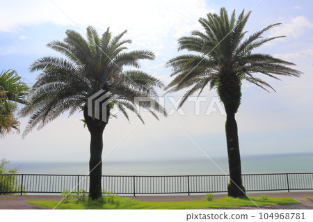 Nichinan Kaigan Phoenix Sea Nichinan Kaigan Phoenix Sea 104968781