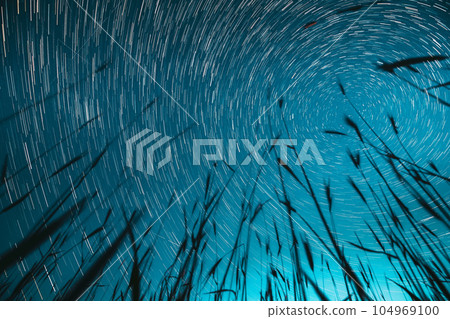 Spin Trails Of Stars Above Young Wheat Sprouts In Summer Agricultural Season. Night Starry Sky Glowing Milky Way Stars And Meteoric Track Trails Above Young Barley Sprouts Field. Rotate Sky Star 104969100