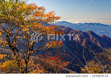 從西丹澤和檜木丸山脊線看到的箱根山脈的秋色 從西丹澤和檜木丸山脊線看到的箱根山脈的秋色 104969534