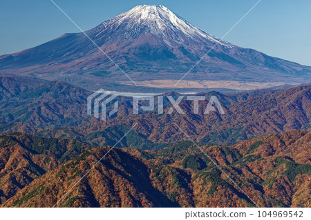 Mt.Fuji and the mountain range of colored leaves seen from the Tanzawa Mountains and the Hidomaru ridgeline 104969542