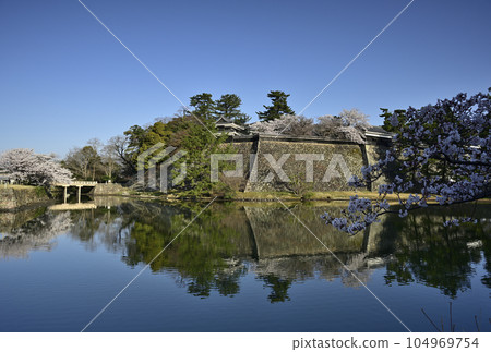 Matsue castle in spring Matsue castle in spring 104969754