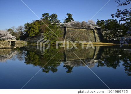 Matsue castle in spring Matsue castle in spring 104969755