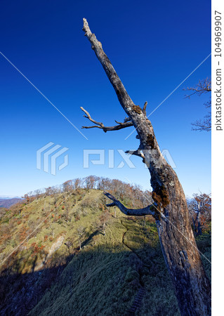 從西丹澤/日之丸山脊線看到的犬越路徒步路線 從西丹澤/日之丸山脊線看到的犬越路徒步路線 104969907