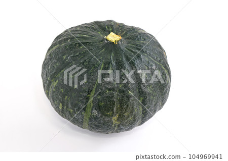 Chestnut pumpkin Chestnut pumpkin 104969941