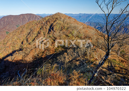 The ridgeline to Mt. Omuro seen from Hinokidomaru in Nishitanzawa in autumn colors The ridgeline to Mt. Omuro seen from Hinokidomaru in Nishitanzawa in autumn colors 104970322