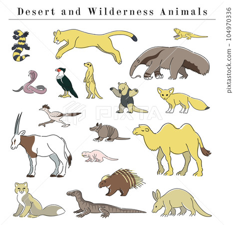 沙漠和荒野動物的插圖集 沙漠和荒野動物的插圖集 104970336