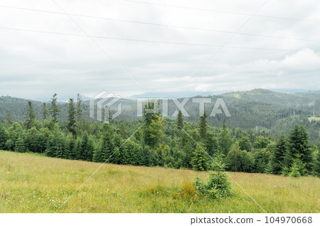 Green Ukrainian mountains. Summer time. Beautiful views of the largest peaks. 104970668