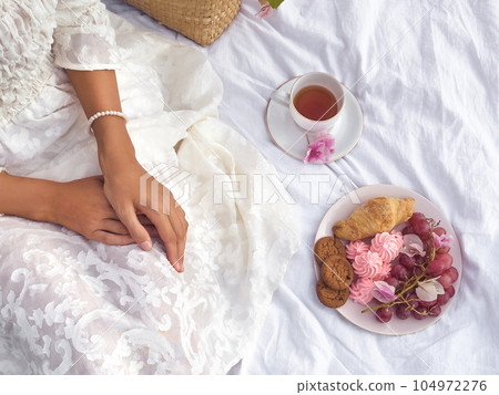 Beautiful Outdoor Bridal Picnic in Retro Style 104972276