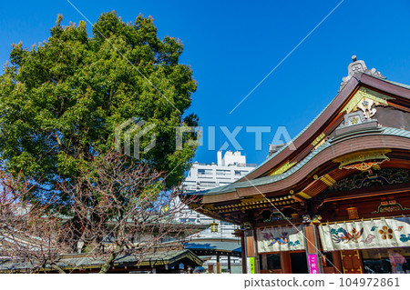 [Urban scenery in Tokyo] Kanda Myojin Shrine 104972861