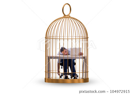Businessman caught in the cage Businessman caught in the cage 104972915