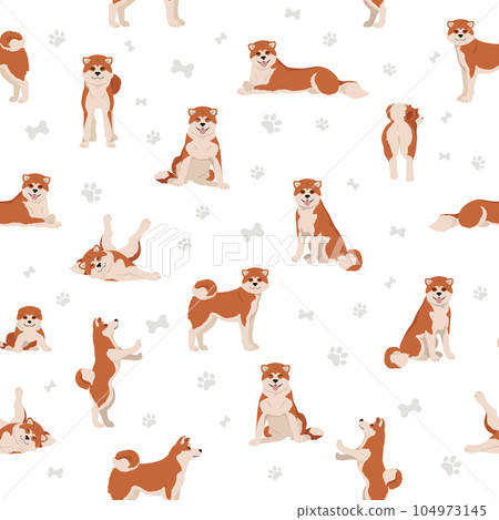 Akita Inu all colours seamless pattern. Different coat colors set Akita Inu all colours seamless pattern. Different coat colors set 104973145