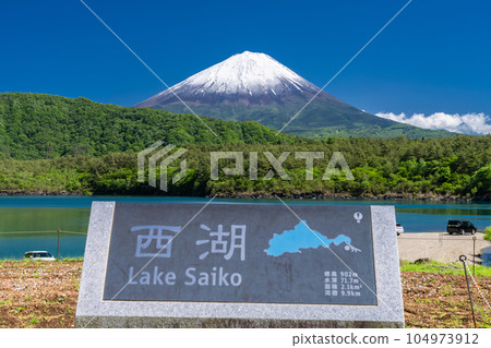 《山梨縣》初夏的富士山，新綠的西湖 104973912