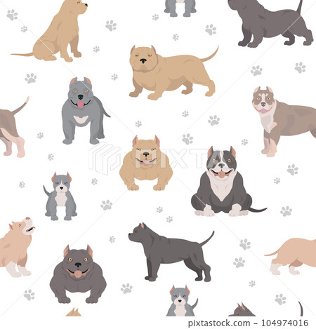 American bully dogs set. Color varieties, different poses. Seamless pattern 104974016