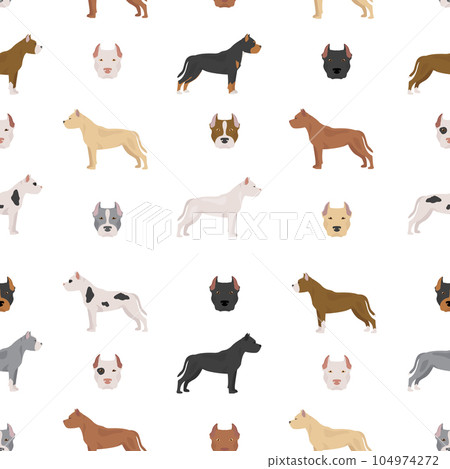 American pit bull terrier dogs set. Color varieties, different poses. Seamless pattern American pit bull terrier dogs set. Color varieties, different poses. Seamless pattern 104974272