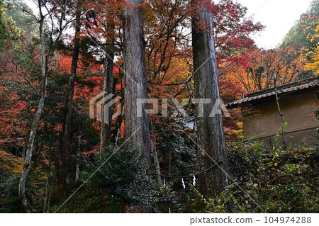 秋天的岩瀧寺 秋天的岩瀧寺 104974288