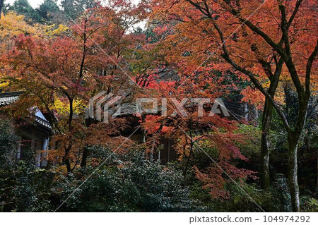 Iwataki Temple in autumn Iwataki Temple in autumn 104974292