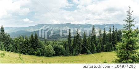 Green Ukrainian mountains. Summer time. Beautiful views of the largest peaks. 104974296