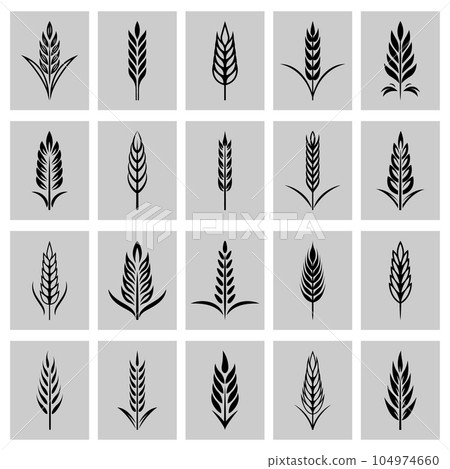 Flat Vector Black and White Agriculture Wheat Icon Set, Organic Wheat, Rice Ears, Isolated. Design Template for Bread, Beer Logo, Packaging, Labels Flat Vector Black and White Agriculture Wheat Icon Set, Organic Wheat, Rice Ears, Isolated. Design Template for Bread, Beer Logo, Packaging, Labels 104974660