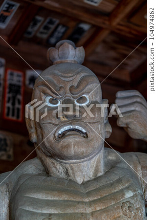 Iwamototera 104974862