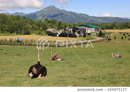 Niseko Ostrich Ranch and Niseko Annupuri 104975157