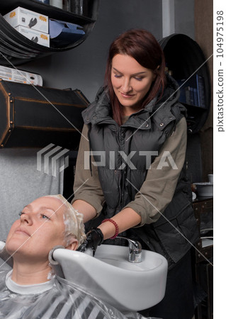 Smiling friendly beautiful brunette caucasian professional hairdresser in the process of washing the hair of a client at work Smiling friendly beautiful brunette caucasian professional hairdresser in the process of washing the hair of a client at work 104975198