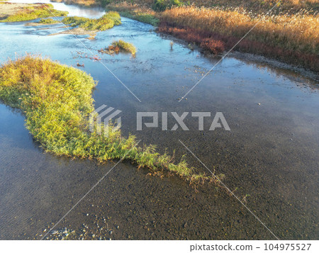 頭髮風暴 頭髮風暴 104975527