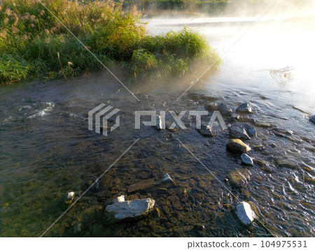 頭髮風暴 頭髮風暴 104975531