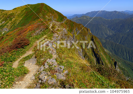 (谷川岳) 沿著谷川山脈的山脊線，谷川岳和一之倉岳之間，以及一倉澤的紅葉高峰期的景色 104975965