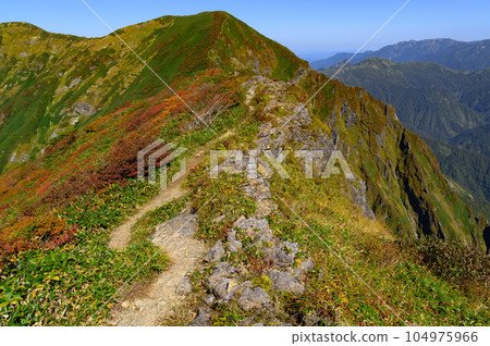 (谷川岳) 沿著谷川山脈的山脊線，谷川岳和一之倉岳之間，以及一倉澤的紅葉高峰期的景色 104975966