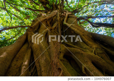 松尾榕 松尾榕 104976007