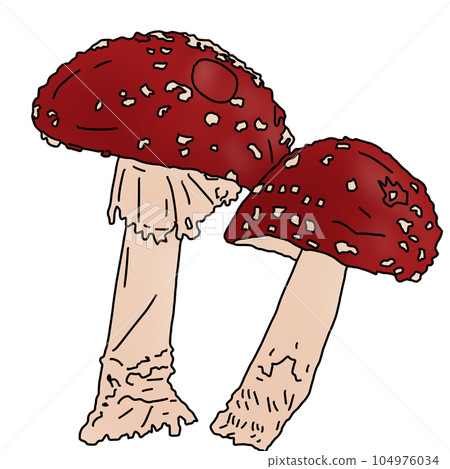 the view of mushroom 104976034