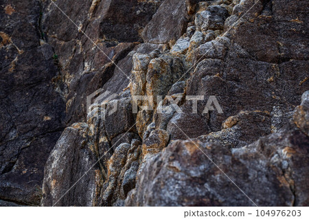 Ryuo Shrine Ryuo Shrine 104976203