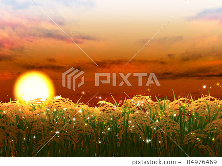 Landscape of golden rice ears Sunset Autumn Landscape of golden rice ears Sunset Autumn 104976469