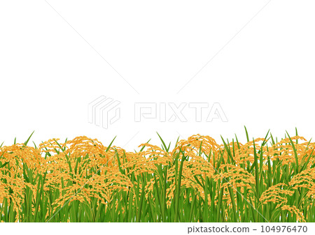 Frame of golden rice ear autumn harvest 104976470
