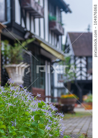 Tourist landscape 104976868