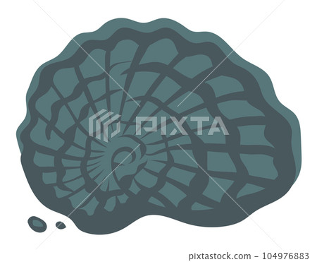 Ancient fossil of a sea mollusk on a white background Ancient fossil of a sea mollusk on a white background 104976883