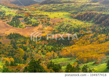 Shibuya Pass autumn leaves Shibuya Pass autumn leaves 104977418