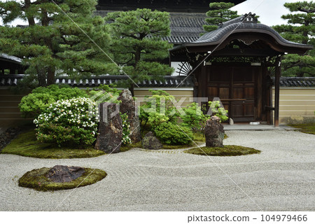 向井唐門 大元建仁寺 向井唐門 大元建仁寺 104979466