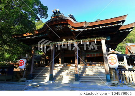 [Kagawa Prefecture] Early morning "Konpira-san" Kotohira-gu Shrine (main worship hall/main hall) 104979905