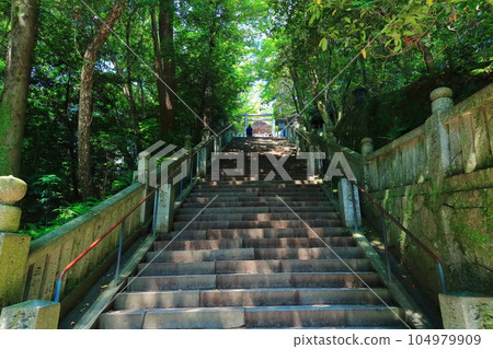 【香川縣】清晨的金刀比羅宮(從御前四段坂看到的大殿) 【香川縣】清晨的金刀比羅宮(從御前四段坂看到的大殿) 104979909