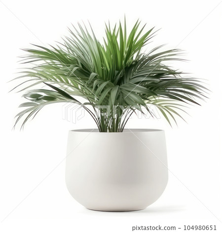 An artistic combination of crisp white and lush green, a plant in a modern planter adds a touch of freshness and simplicity to any room. AI Generative. 104980651