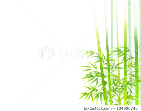 Landscape with bamboo leaves and shadows 104980746