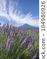 富士和薰衣草田 104980926